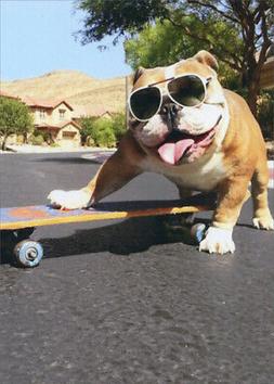 Bulldog/Sunglasses/Skateboard - Avanti Funny Dog Birthday Ca