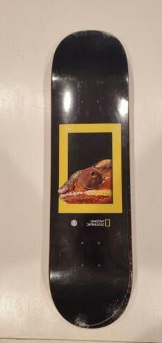 Deck New